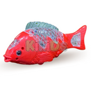 Peixe Brilhante Kikids