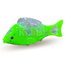 Peixe Brilhante Kikids