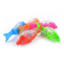 Peixe Brilhante Kikids