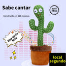 Cacto Dançante e Falante de Pelúcia