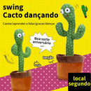 Cacto Dançante e Falante de Pelúcia