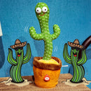 Cacto Dançante e Falante de Pelúcia